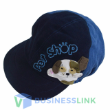 Boy hat V023
